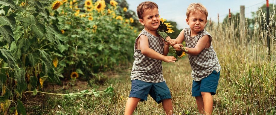 Zwei Jungen streiten neben Sonnenblumenfeld - Rechtsschutzversicheurng ADAC